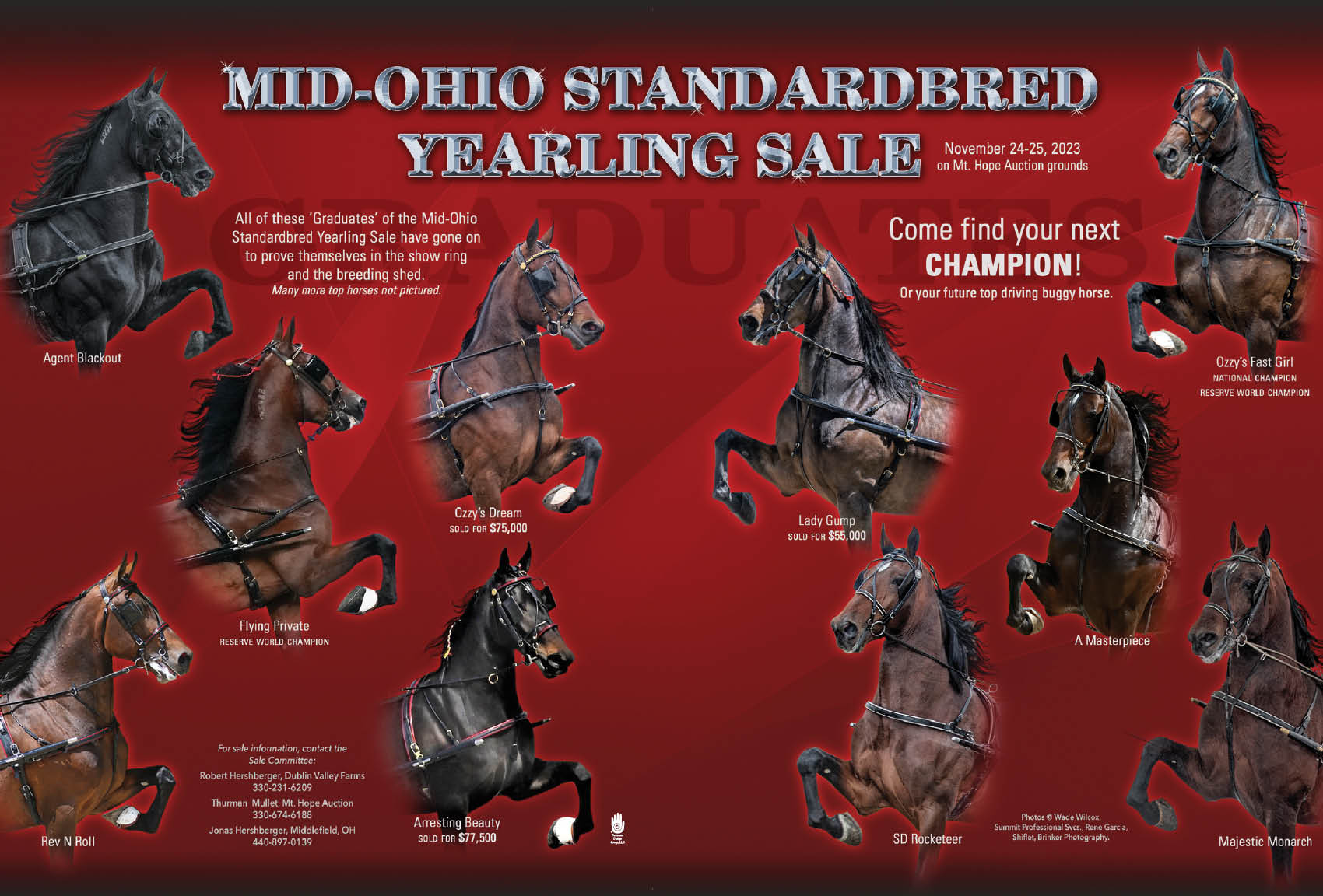 Mid Ohio Standardbred Yearling Sale Home Page
